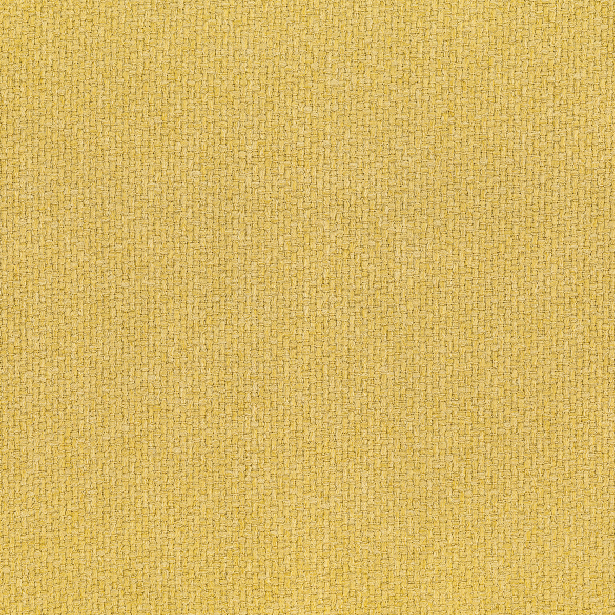 NIKKO 15